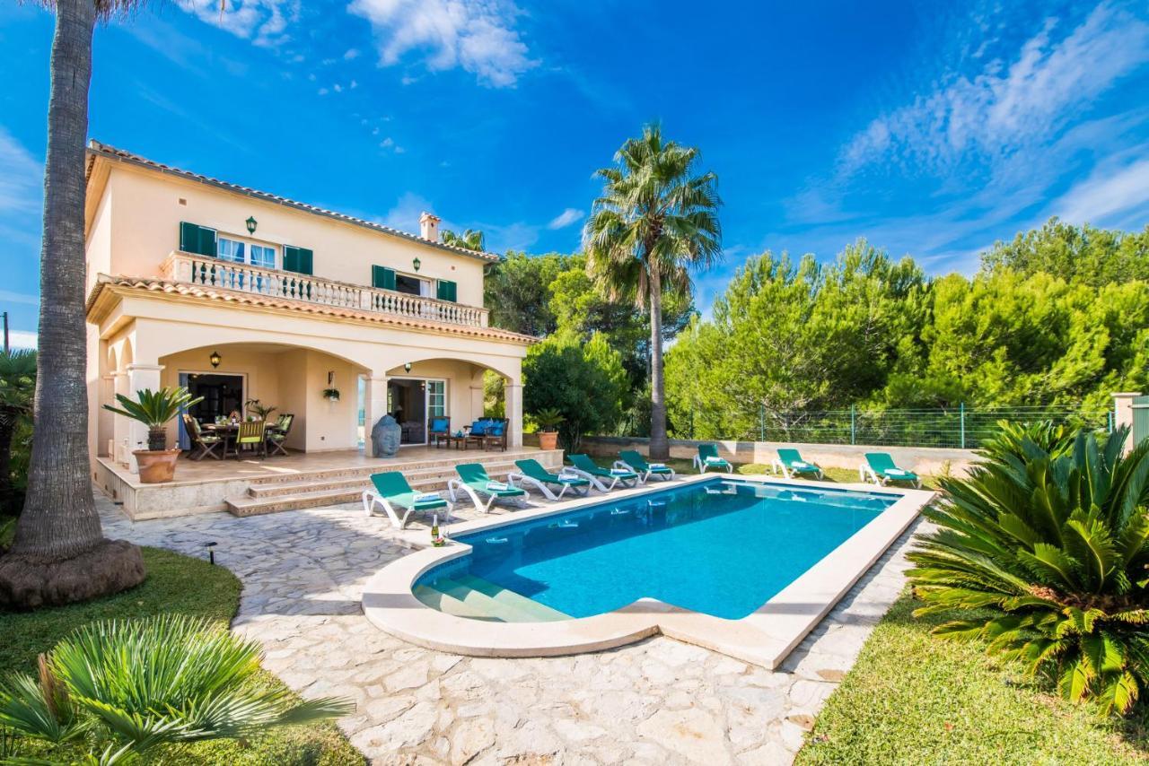 Ideal Property Mallorca - Didi Алькудія Екстер'єр фото