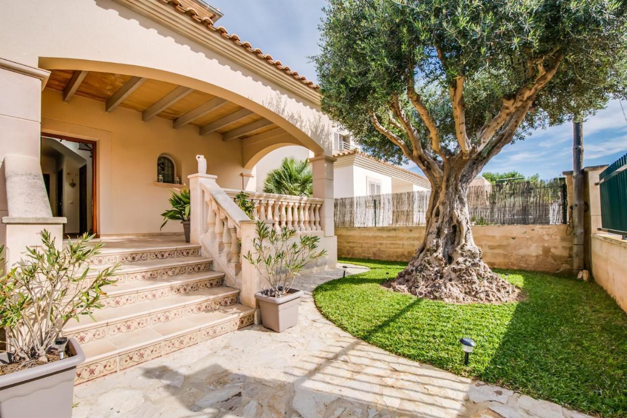 Ideal Property Mallorca - Didi Алькудія Екстер'єр фото